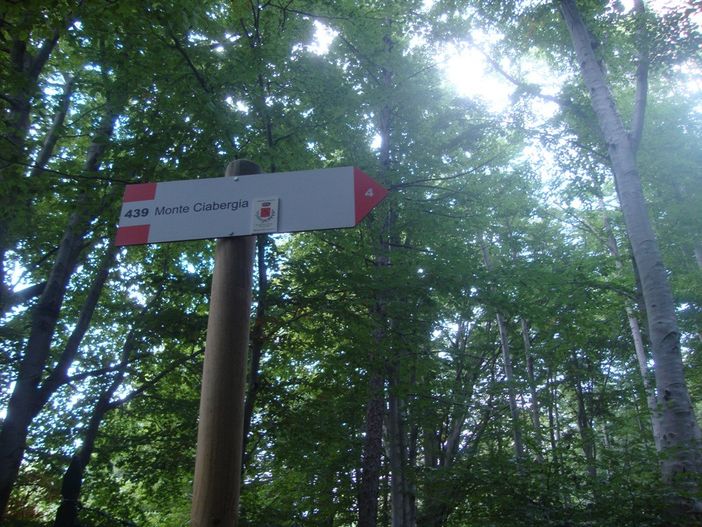 Il segnale della Partenza