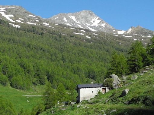 Inaugurazione della Mostra Laboratorio “La biodiversità in scena”