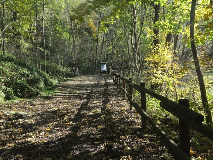 MONTAGNA VDA: GRAND MOULIN – LIEX