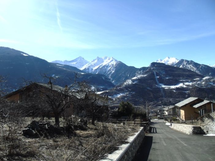 Riaperti i termini per le domande di sostegno agli investimenti in tecnologia forestale