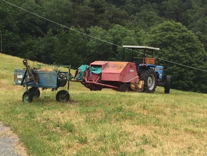 Adesione delle banche agli anticipi contributi agricoltori