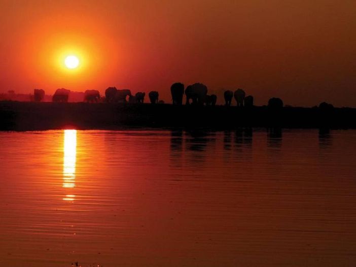 In Botswana, tra natura e avventura In Botswana, tra natura e avventura