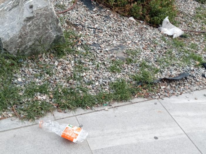 REGIONE: Entro fine maggio primi giugno rimpasto di Giunta