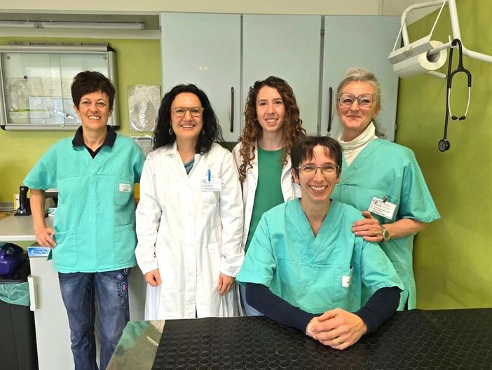 Nella foto da sx le veterinarie: Giovanna Villa, Sara Trovero, Giulia Mochettaz, Maria Claudia Vincenti e Caterina Abate (in primo piano) Nella foto da sx le veterinarie: Giovanna Villa, Sara Trovero, Giulia Mochettaz, Maria Claudia Vincenti e Caterina Abate (in primo piano)