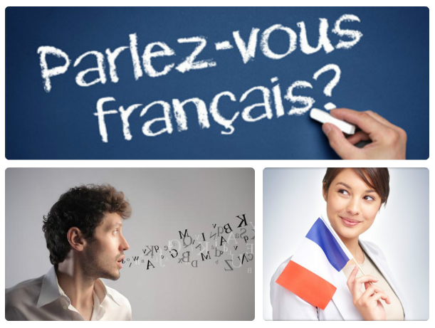 CORSO DI PREPARAZIONE  ALLA PROVA DI PIENA CONOSCENZA DI FRANCESE  PER INSEGNAMENTO