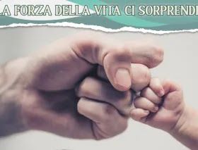 In partenza alla VITA il terzo corso di formazione e assunzione immediata di autisti di pullman In partenza alla VITA il terzo corso di formazione e assunzione immediata di autisti di pullman