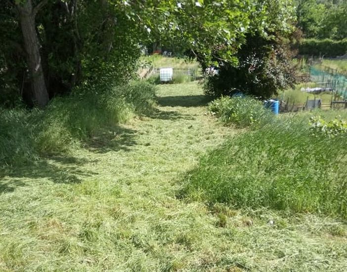 Erba tagliata di fresco all'accesso degli orti comunali