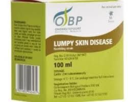 Arrivati i vaccini per la dermatite nodulare contagiosa, domani partono le vaccinazioni in Valle d’Aosta