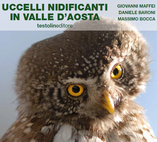 Gli uccelli nidificanti in valle d'aosta