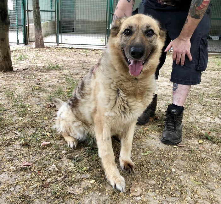 Da Legambiente No agli abbattimenti, sì al sostegno agli allevatori Da Legambiente No agli abbattimenti, sì al sostegno agli allevatori