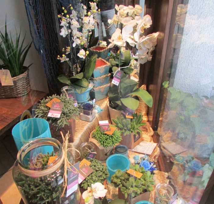 La vetrina di Le Bouquet e, in basso da sx, 'Et les Fleurs', 'Mc Gregor', Ottica Ostinelli