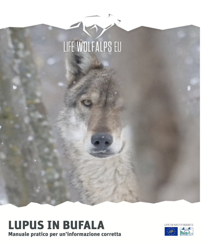 LIFE WOLPAlps EU presenta “Lupus in Bufala” LIFE WOLPAlps EU presenta “Lupus in Bufala”