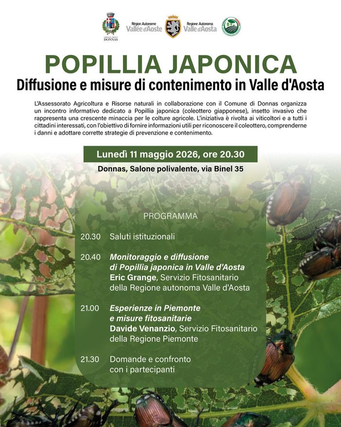 Allerta Popillia japonica: a Donnas un incontro per fermare l'insetto killer Allerta Popillia japonica: a Donnas un incontro per fermare l'insetto killer