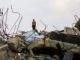 Gaza, Italia con Francia, Germania e Gb: &quot;Bene iniziativa araba&quot;