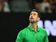Djokovic, il rito all'Australian Open: "Ogni giorno abbraccio un fico brasiliano nei giardini di Melbourne, mi cura"