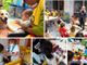 Il gioco è decisivo per la salute dei bambini, anche e soprattutto in ospedale (servizio a cura di Fabio Gandini)