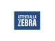 Tumori neuroendocrini, al via la campagna digitale di Ipsen “Attenti alla Zebra” Tumori neuroendocrini, al via la campagna digitale di Ipsen “Attenti alla Zebra”