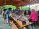 Torna la Festa del Baratto di Libri 2026 a Pont-Saint-Martin Torna la Festa del Baratto di Libri 2026 a Pont-Saint-Martin