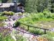 Les 70 ans de Paradisia, le Jardin Botanique du Parc National du Grand Paradis