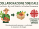 Collaborazione solidale tra Centri Agricoli Didattici e Caritas diocesana Collaborazione solidale tra Centri Agricoli Didattici e Caritas diocesana