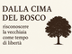 Dalla cima del bosco: riscoprire la vecchiaia come tempo di libertà Dalla cima del bosco: riscoprire la vecchiaia come tempo di libertà