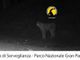 Il ritorno del fantasma dei boschi: la lince avvistata nel Parco del Gran Paradiso Il ritorno del fantasma dei boschi: la lince avvistata nel Parco del Gran Paradiso