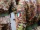 Servizio civile e militare prima del 2006: come recuperare i contributi figurativi
