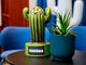 Al via la sesta edizione del Cactus Film Festival