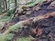 Incendio boschivo tra Challand-Saint-Victor e Challand-Saint-Anselme: spento il rogo, resta alta l'allerta in Valle d'Aosta