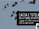 Il 76% degli italiani non trova giusto che la caccia sia praticata Il 76% degli italiani non trova giusto che la caccia sia praticata