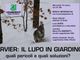 Quando il lupo arriva in giardino, esperti e popolazione a confronto