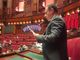 L'on. Franco Manes