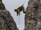 Esercitazione “5 Torri 2018” le truppe alpine in azione