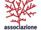 Pronto il calendario solidale dell'Associazione Matteo Saulle e delle Quinte della primaria di Quart