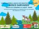 A Doues &quot;Il Bosco Sarvadzo&quot;, un nuovo spazio di apprendimento