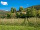 Aiuti a sostegno di aziende agricole e PMI  per far fronte al caro energia