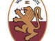 Il nuovo stemma del Valle d'Aosta Calcio