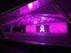 Il Jardin de l'Ange illuminato per la campagna sociale 'Nastro Rosa'