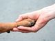 Entro un anno in Valle un Centro di cremazione permetterà di riavere le ceneri dei propri animali domestici (immagine dal sito youanimal.it)