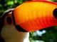 In Amazzonia a rischio il 10% delle specie animali della Terra In Amazzonia a rischio il 10% delle specie animali della Terra