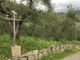 VAGELO DELLA DOMENICA: Lazzaro siamo noi. Risorgiamo perché amati