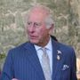Re Carlo e il sostegno al Canada dopo le minacce di annessione di Trump