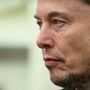 Trump, Musk boccia la legge di bilancio: &quot;Disgustoso abominio&quot;