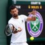 Djokovic-Evans oggi a Wimbledon: orario, precedenti e dove vedere il match