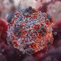 Monitoraggio costante della situazione internazionale relativa agli Hantavirus