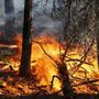 Emergenza incendi, revocato lo stato di grave pericolo sull'intero territorio regionale