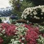 Vivi la magia di Euroflora con 50&amp;Più Valle d'Aosta: Un viaggio imperdibile tra fiori e bellezza!