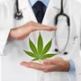 Cannabis in medicina: principi attivi e utilizzi
