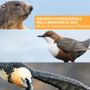 Valle d'Aosta: la biodiversità al centro degli eventi estivi Valle d'Aosta: la biodiversità al centro degli eventi estivi