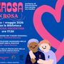 Fioriscono le rose di maggio a Perosa Argentina
